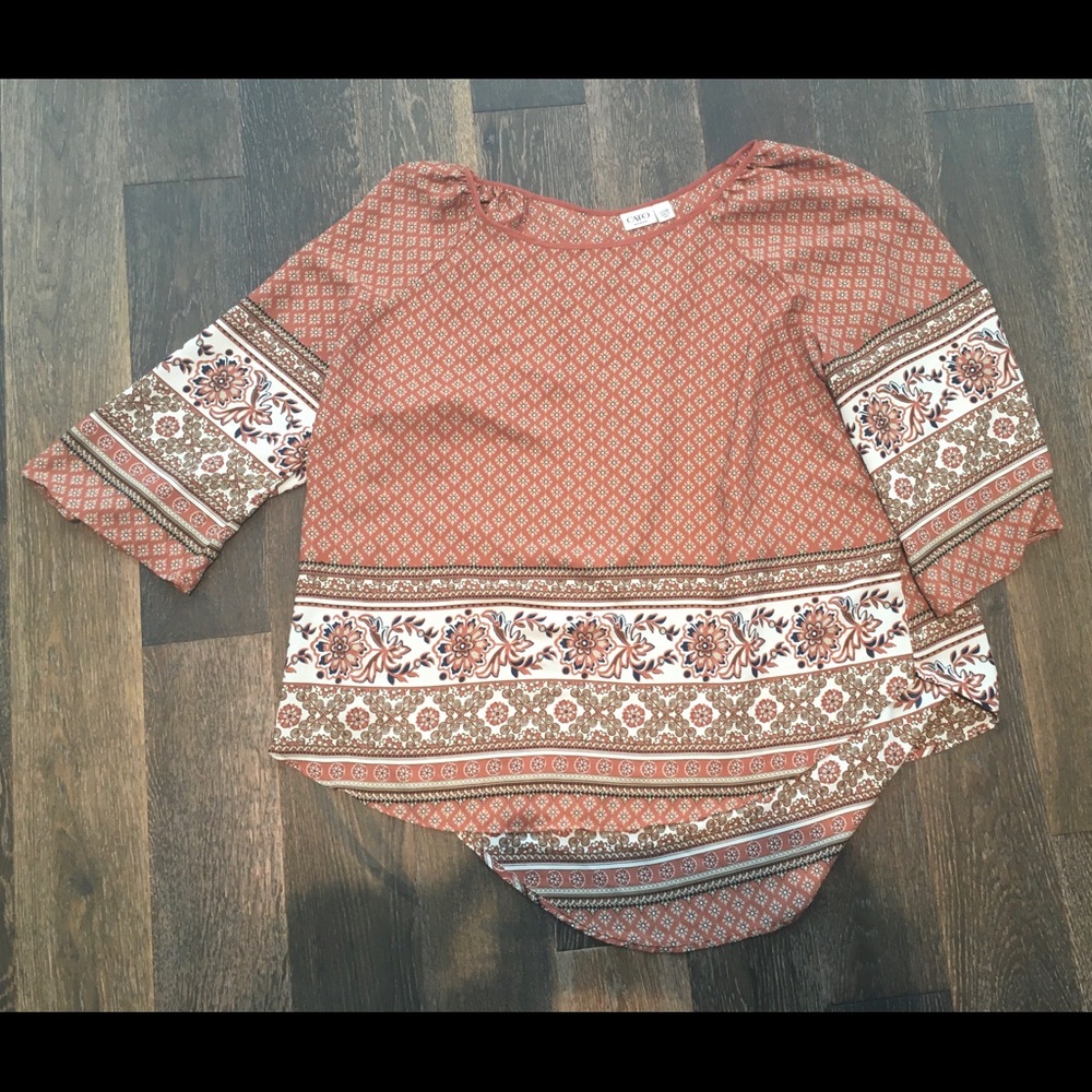 Cato tunic top